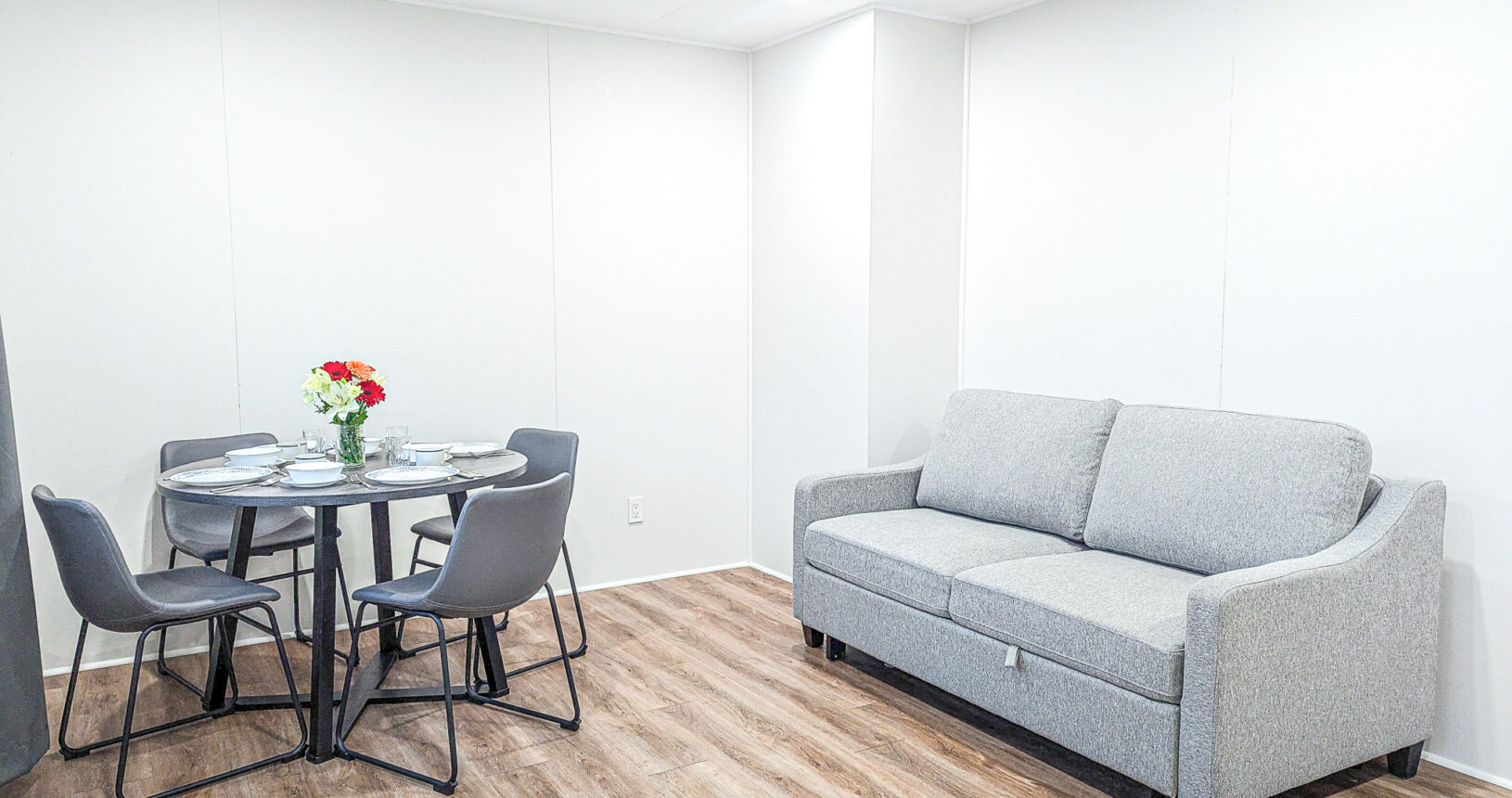 Dining Area and Fold Out Couch